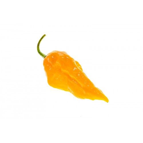 Bhut Jolokia Yellow Pepper Seeds